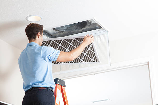 Best Ductless Mini-Split Systems in Marlette, MI